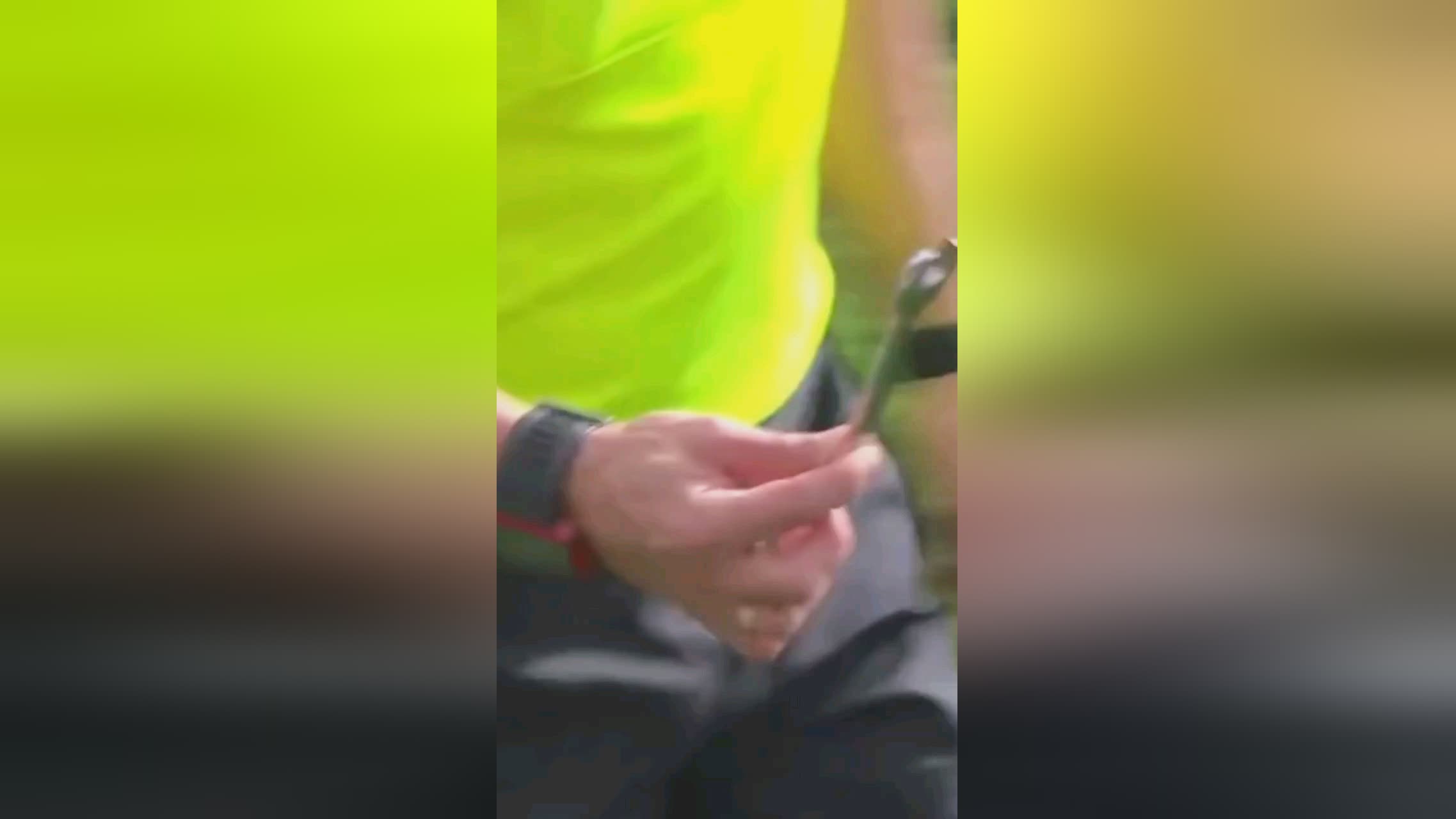 刷新了